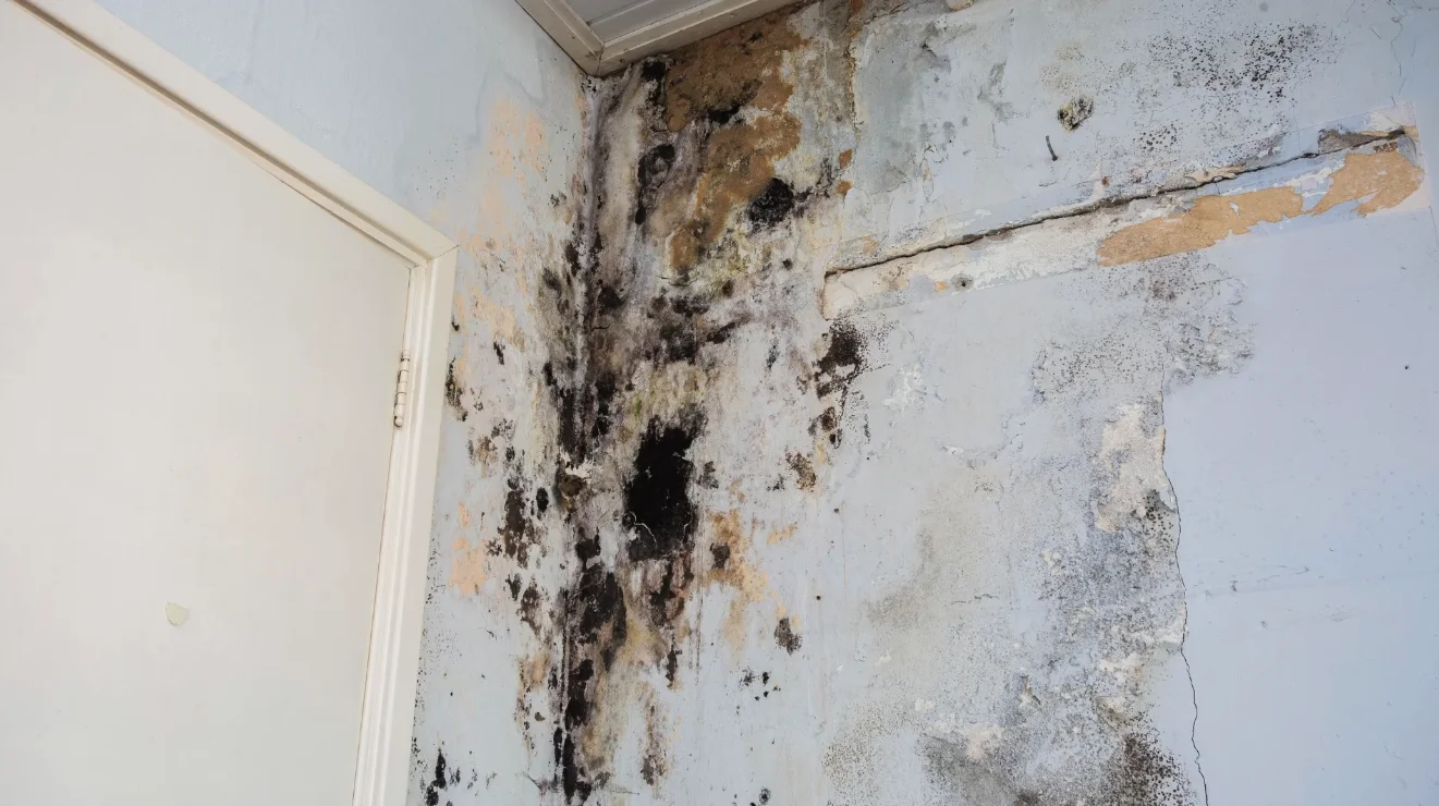 water damage restoration orlando fl ceiling water stain peeling paint before restoration