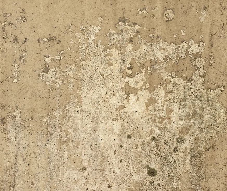 water damage repair orlando wall moisture damage assessment and professional water restoration