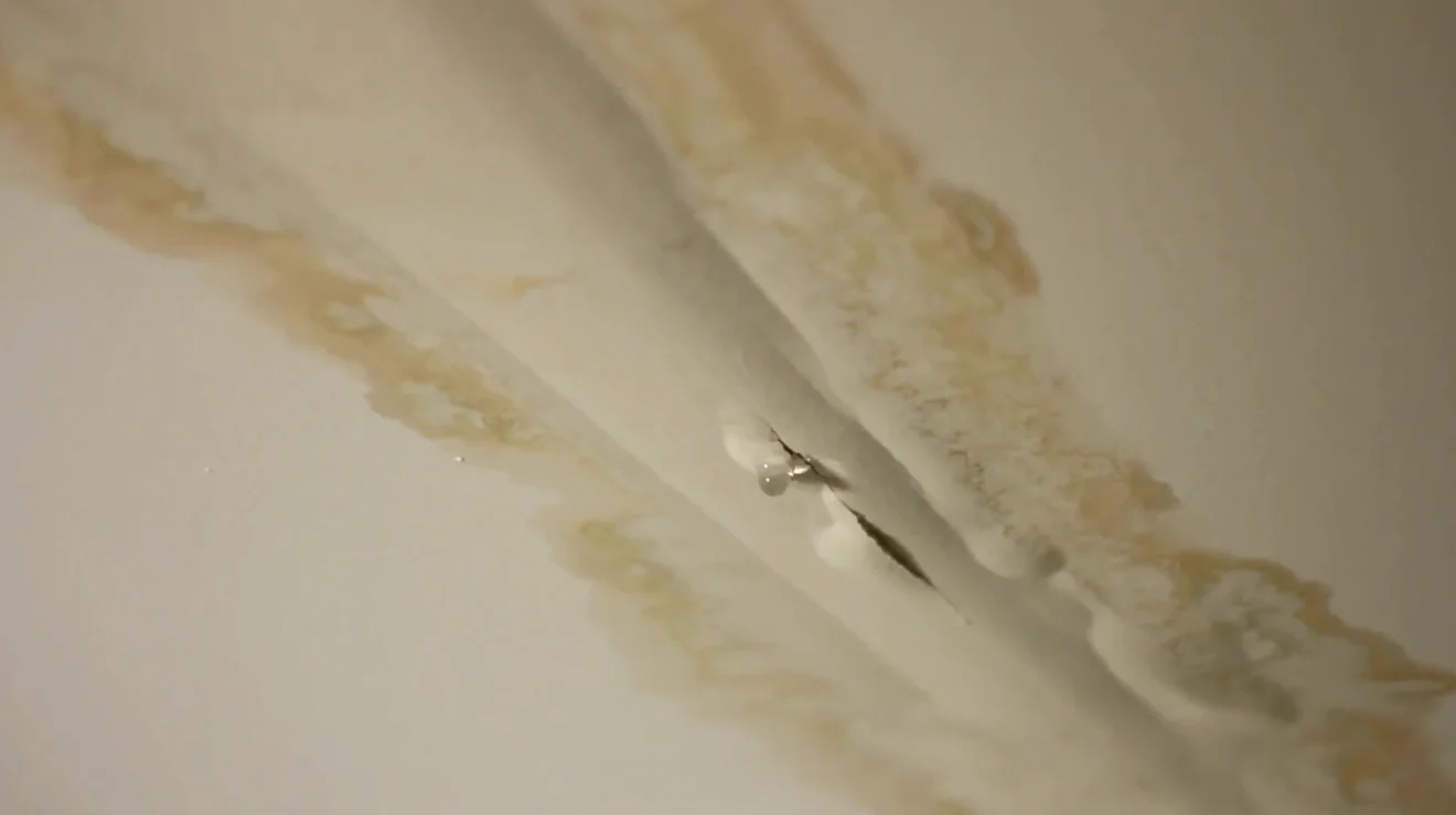 water damage restoration orlando professional insurance inspection documentation assessment